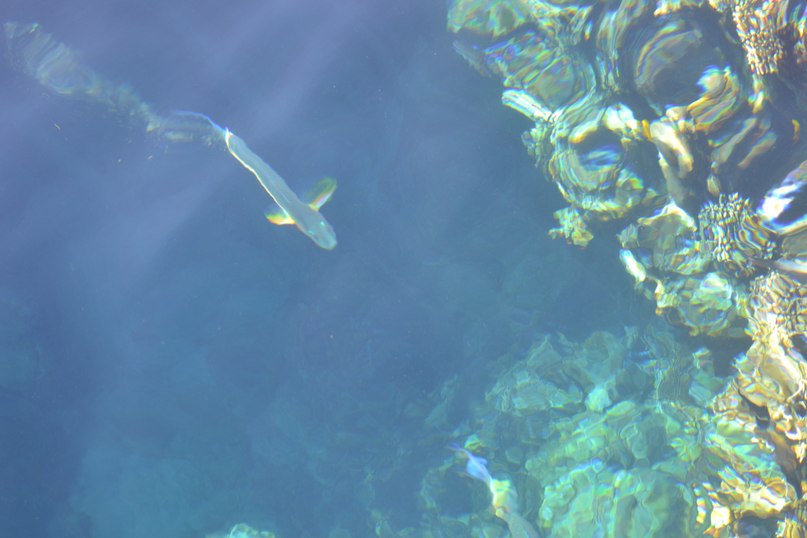 Сергей Кордюков | Москва