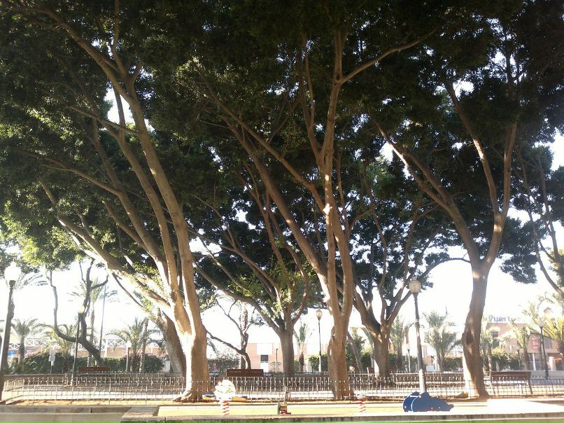 Максим Мальчиков | Херсон