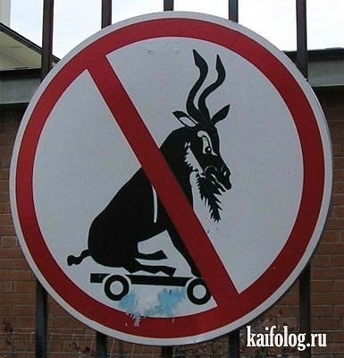 Денис Шмило | 