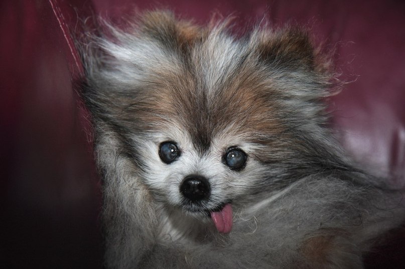 Евгений Пруненко | Новосибирск