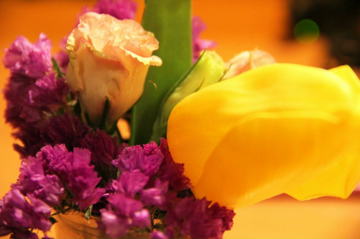 Нелля Яворенко ✿ܓ | Новосибирск