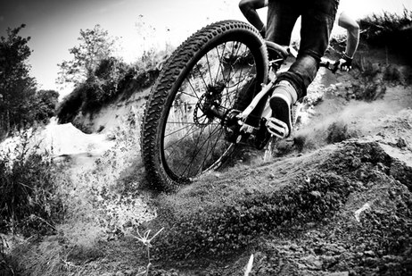 Олег Крайник | Тернополь