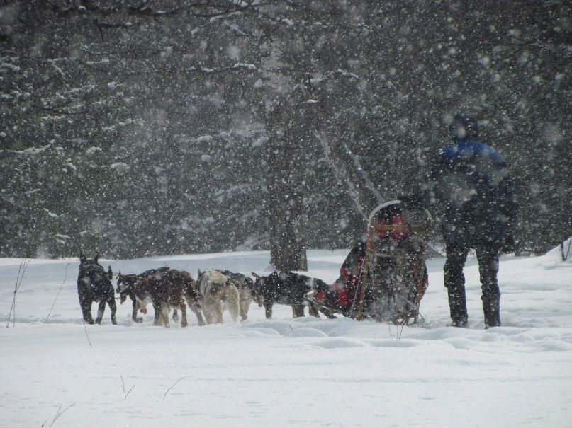 Рауль Халфин | Уфа