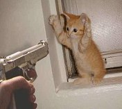 №1, Dmitriy Malaschko №1, Dmitriy Malaschko