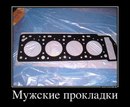 Максимельян Невинный, Санкт-Петербург, Россия, 