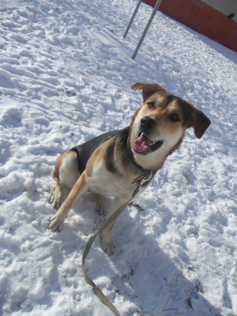 Марина Алексеева | Липецк