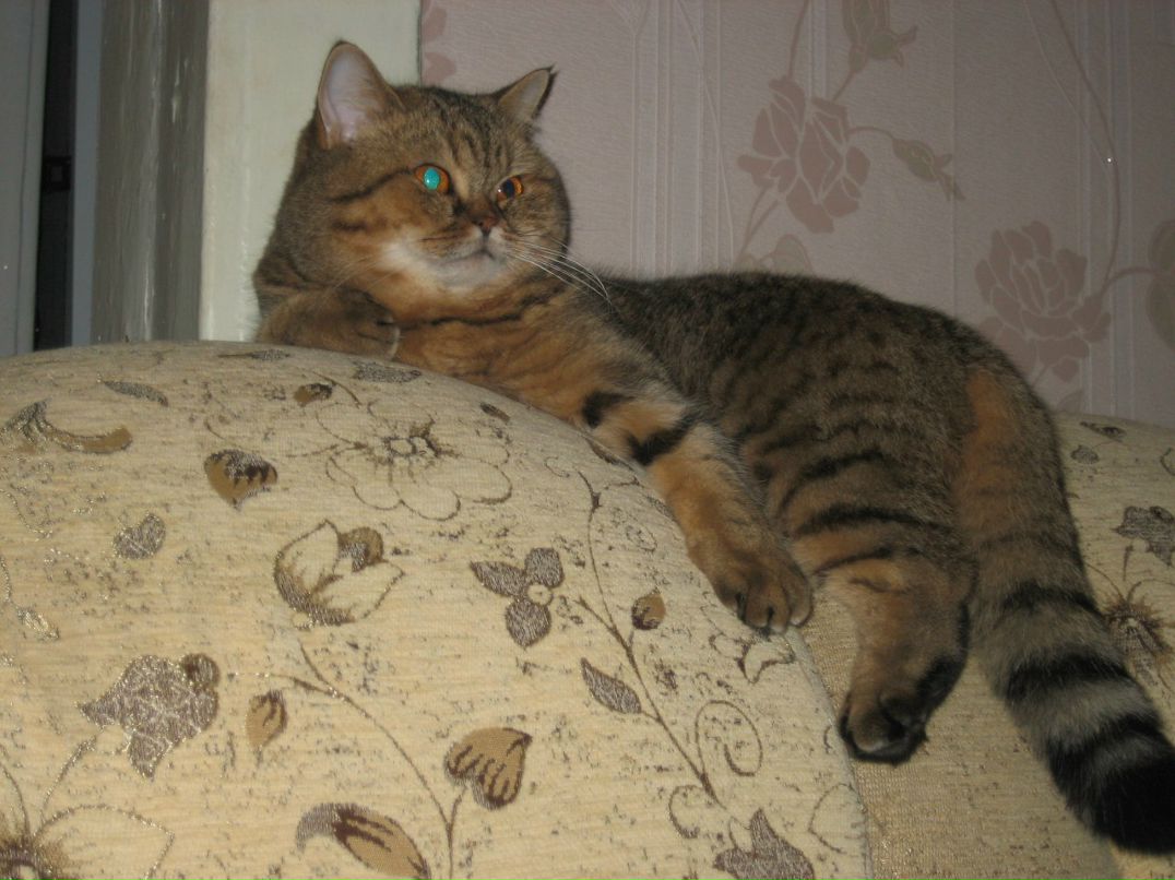 Светлана Заварзина | Нижний Новгород