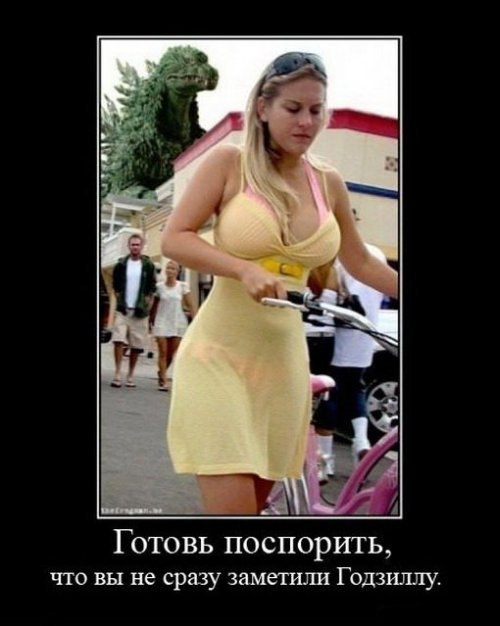 Вл Гг | Санкт-Петербург