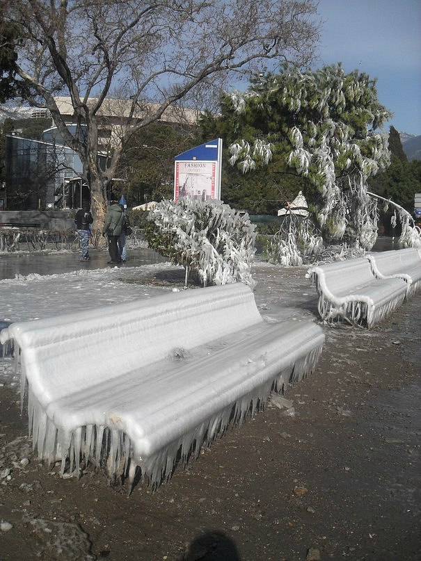 Анастасия Вергун | 