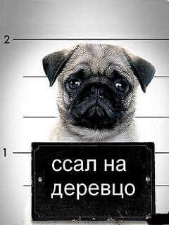 №18, Руслан Целовальников №18, Руслан Целовальников