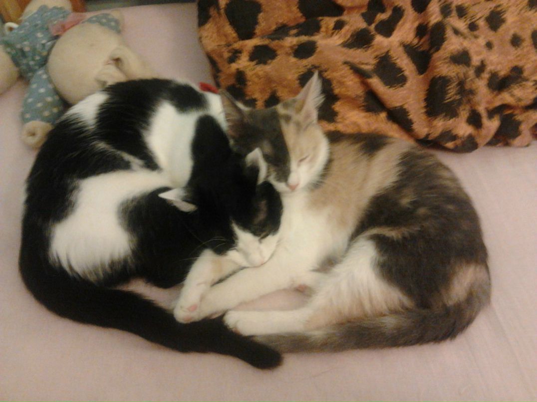 Евгения Прогонова | Москва