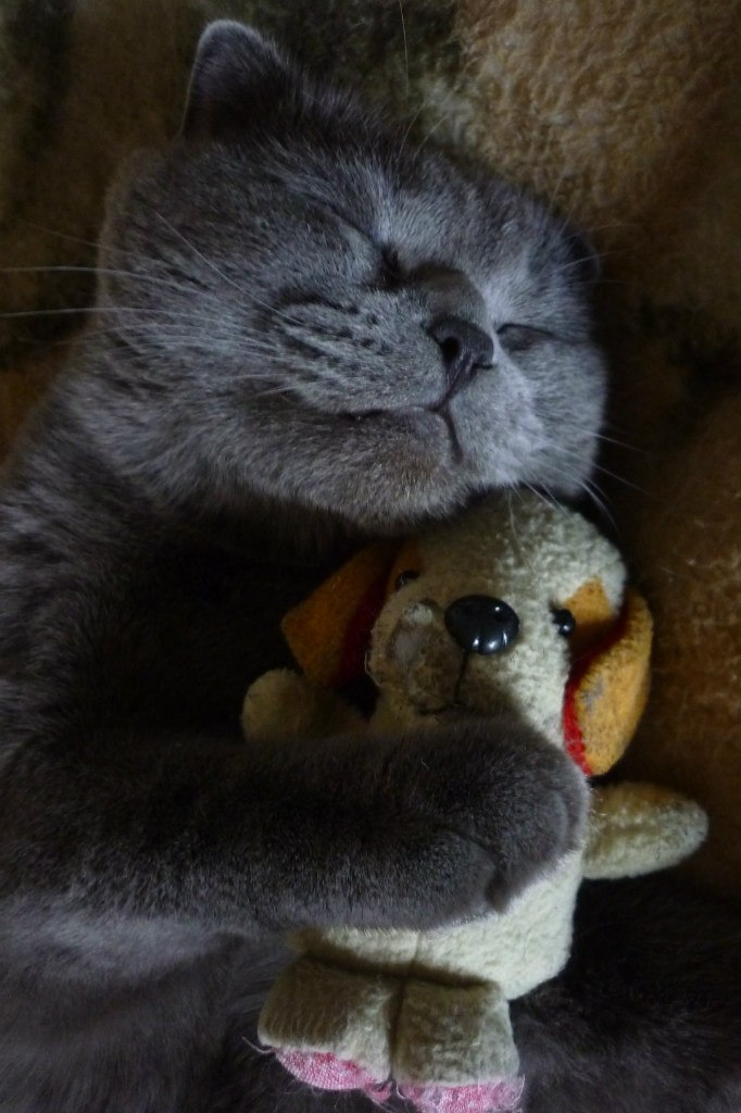 Виктория Журавлева | Новосибирск