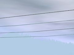 New Telegraph Wires (4)