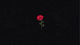 Из черного мерина 🌹, а я влюблен в нее еще со школы 🌹, она делает вид что мы не знакомы 🌹 Хит Тик