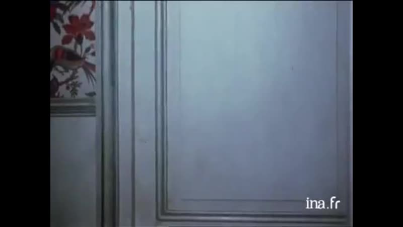 Les Minichroniques Episode 15 Bruits et