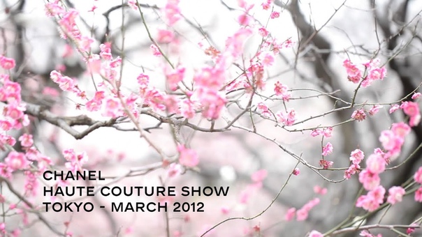 МЕРОПРИЯТИЯ: The little black jacket exhibition in japan, part