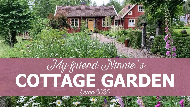 Ninnies Cottage Garden Sweden, June