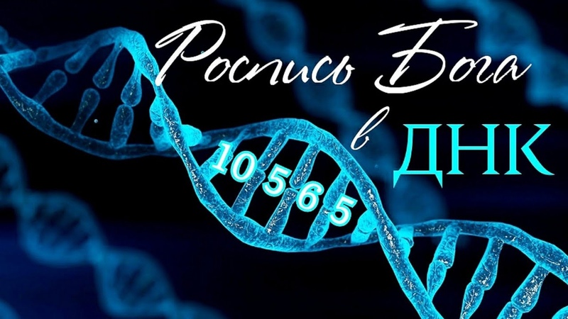 Имя Бога в ДНК и расшифровка с