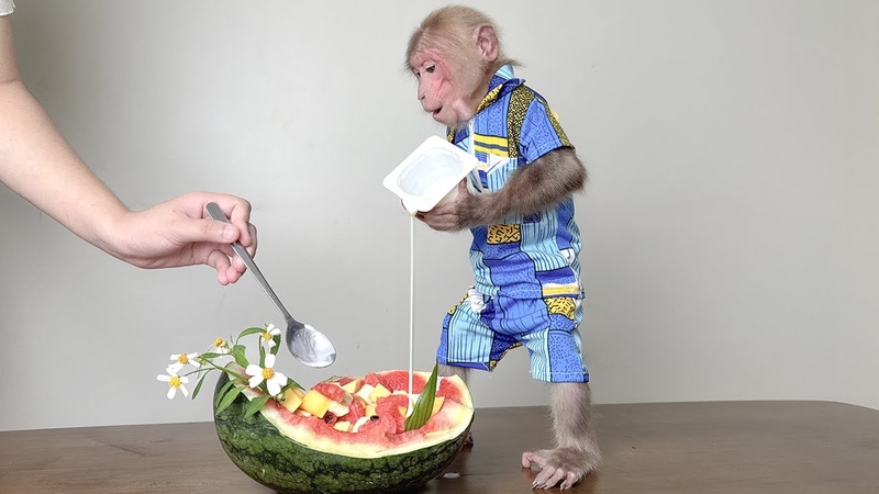 Bibi had a trouble making watermelon
