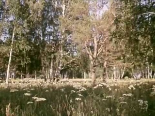 Кунгурский феномен-лесостепь