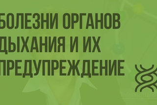 Болезни органов дыхания и их предупреждение