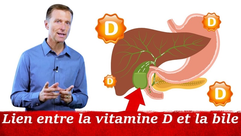 La vitamine D, la bile et la vésicule biliaire l Dr Eric