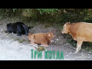 Абхазия.Новый Афон.Нетуристический маршрут.Святое место Три котла