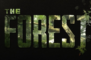 The Forest#1 Строим дом