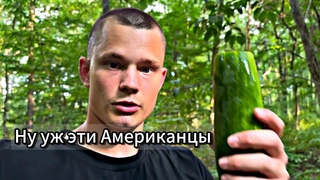 День |4| Американцы никого не оставят голодными. Дали целый пакет