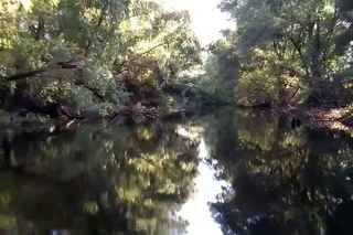 Danube Delta - A Quick Preview Inside
