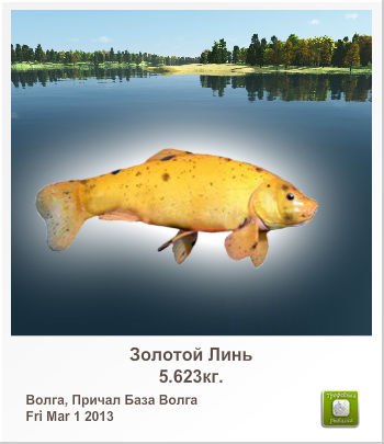 Артем Кирилюк | Сочи