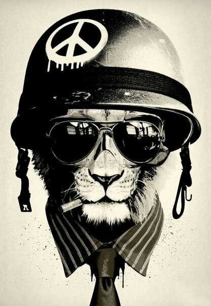 Александр Иванов | Зугрэс