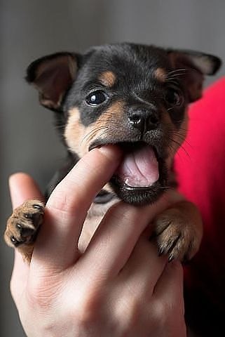 Алексей Зубков | Луганск