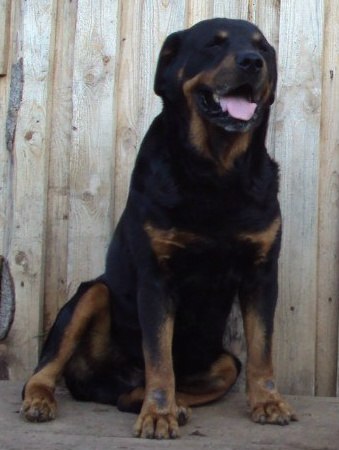 Лариса Баранова | Пермь