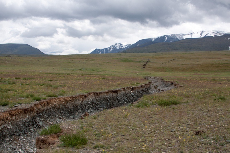 Сергей Малков | Новосибирск