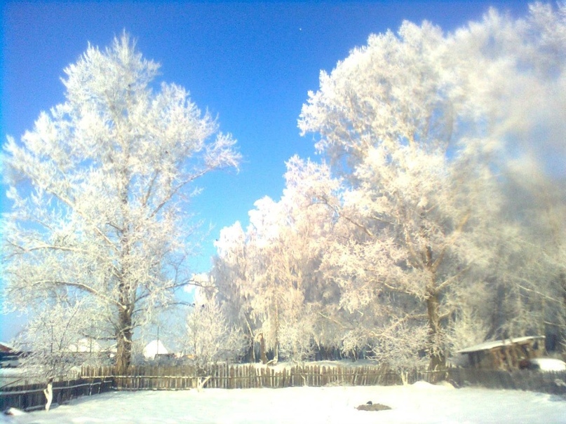 Петр Ефимов | Рощинский