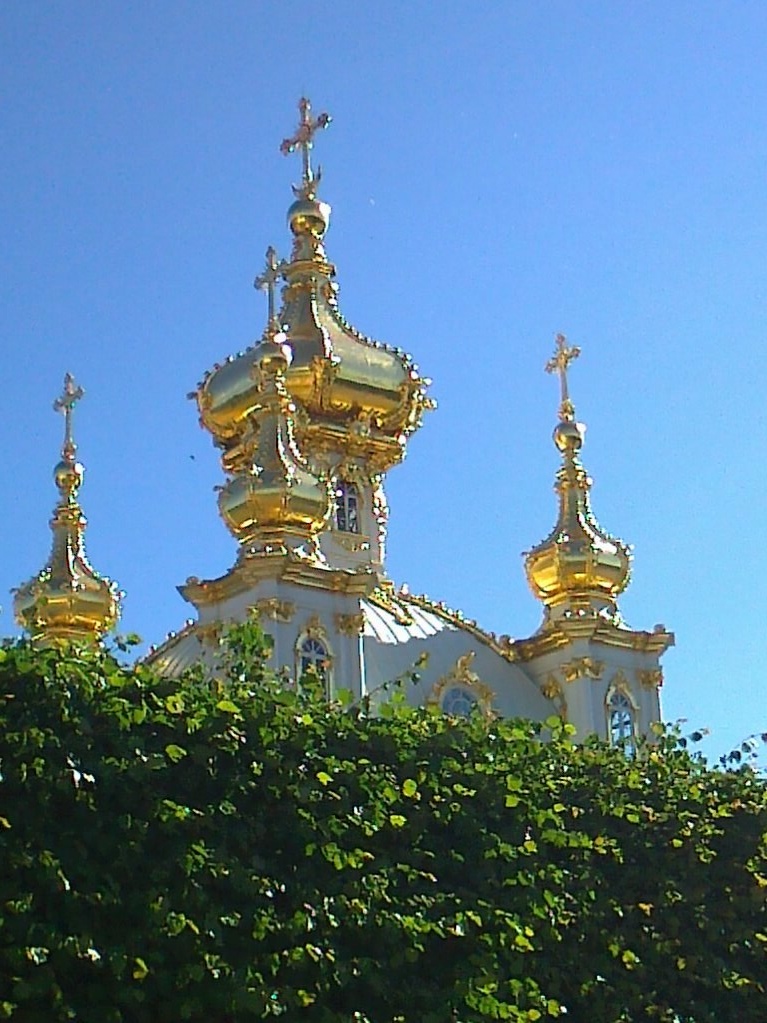 Ирина Ширшова | Ставрополь