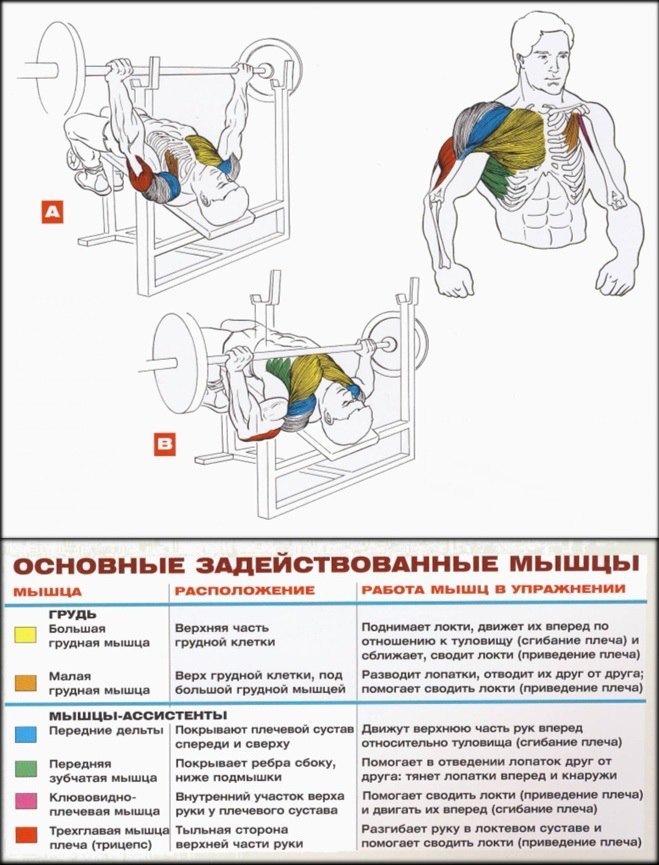 Максим Мосин & |