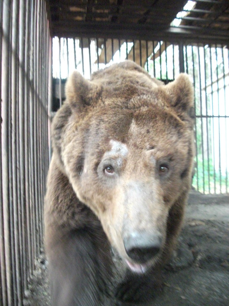 Александр Хамов | Волгоград