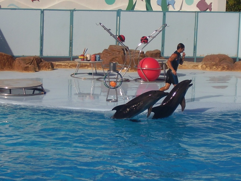 Денис Новиков | Воронеж