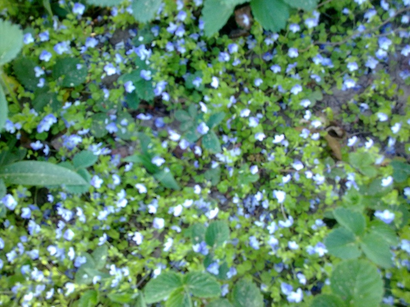 Юля Шумилова | Пермь