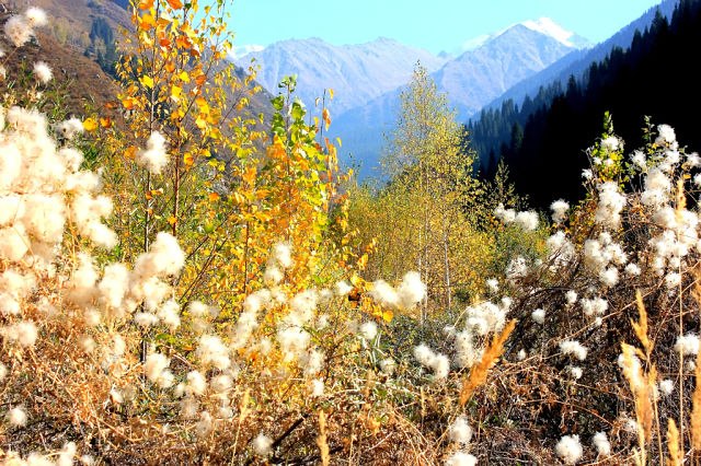 Александр Новожилов Bикторович | Алматы