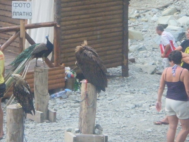 Мария Кочурова | Ижевск