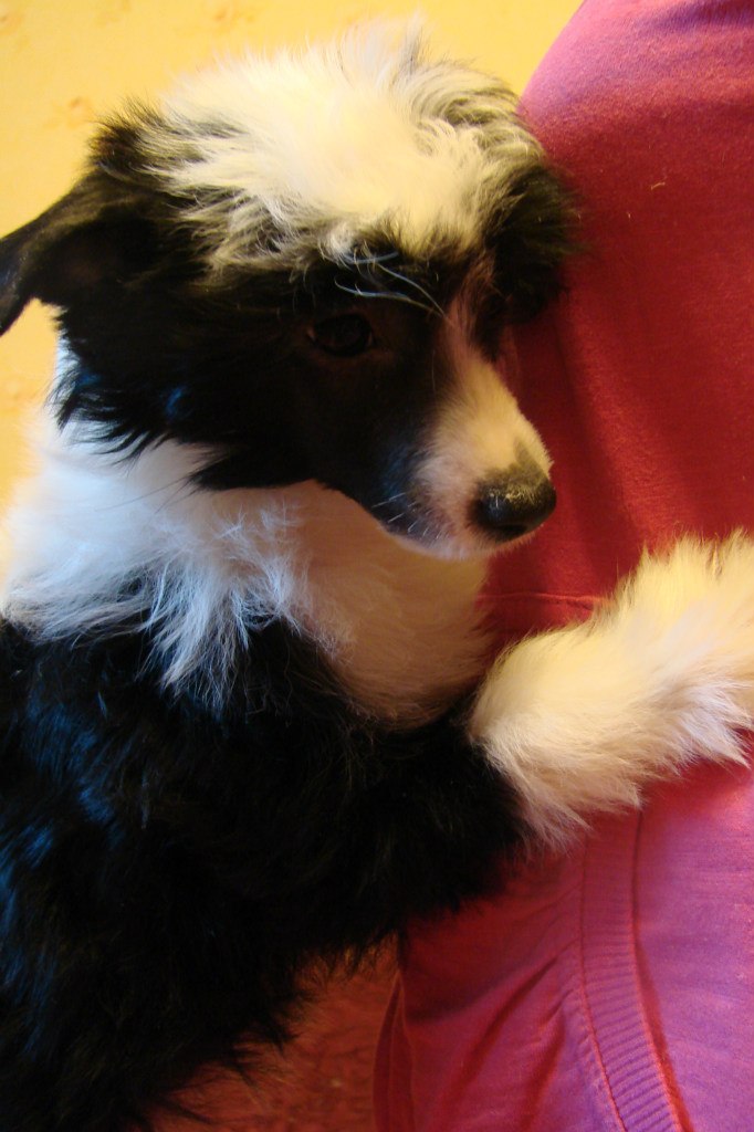 Татьяна Луковникова |