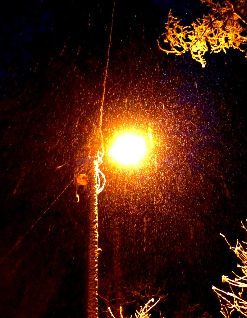 Аркадий Семенов | Санкт-Петербург