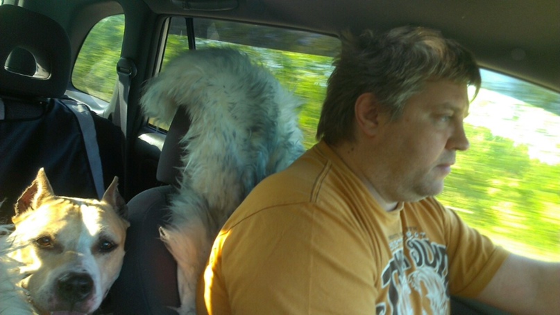 Николай Петров Юрьевич | Санкт-Петербург