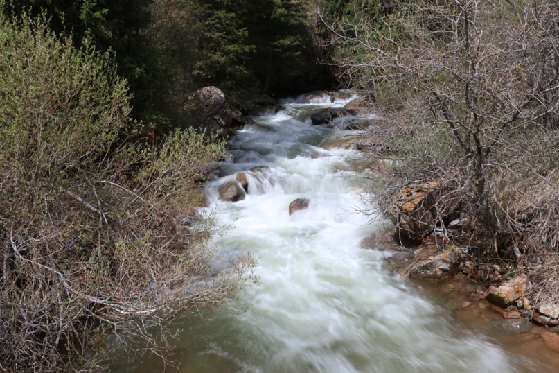 Максим Радченко Max | Алматы