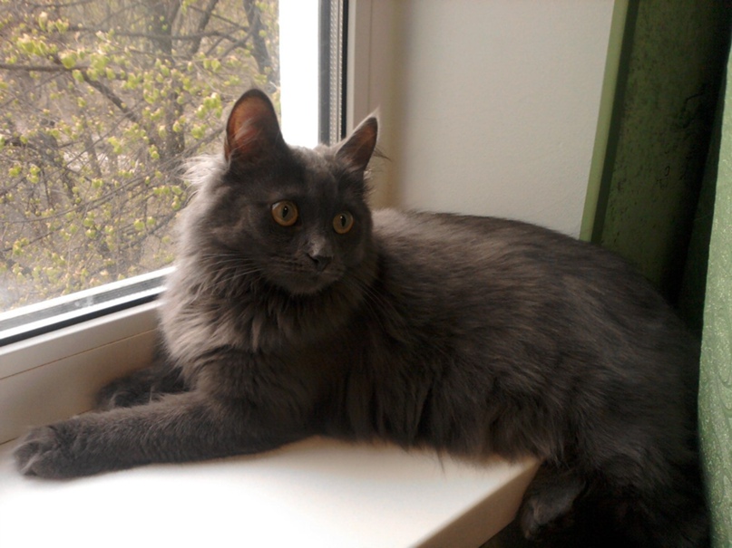 Яна Смирнова | Черкассы