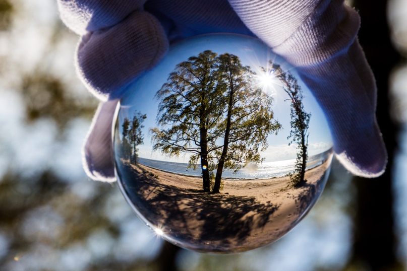 Роман Соколов | Санкт-Петербург