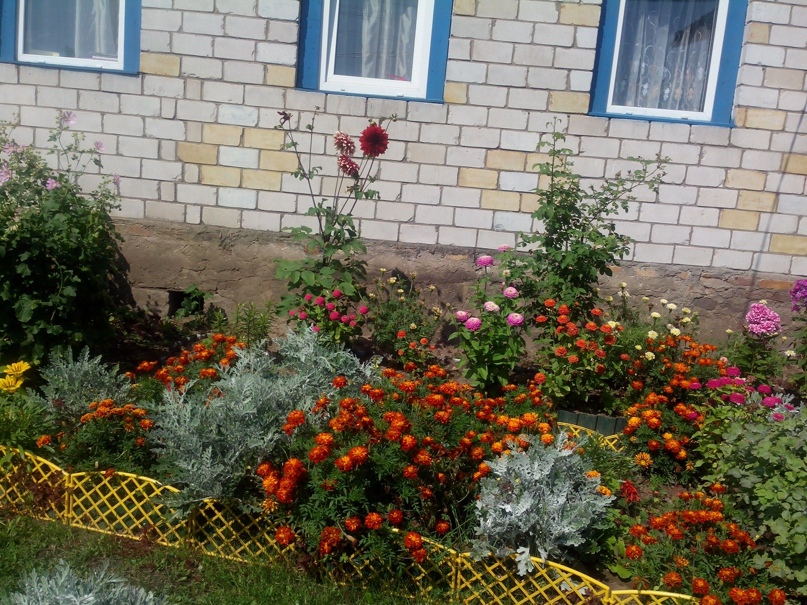 Галина Ершова | Санкт-Петербург